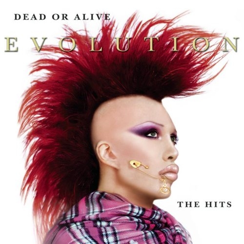 Dead Or Alive - Evolution / The Hits [수입]