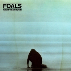 Foals - What Went Down [CD+DVD Deluxe Edition] [수입]