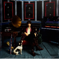 Julian Casablancas - Phrazes For The Young [디지팩]