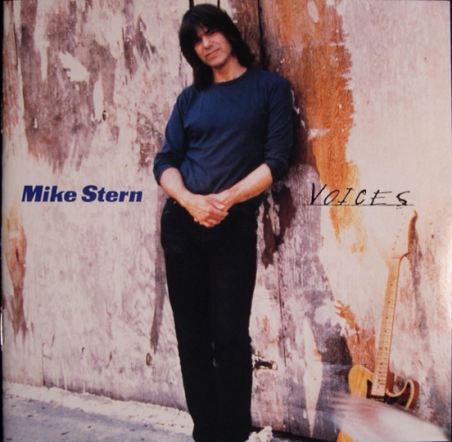 Mike Stern ‎– Voices [수입]