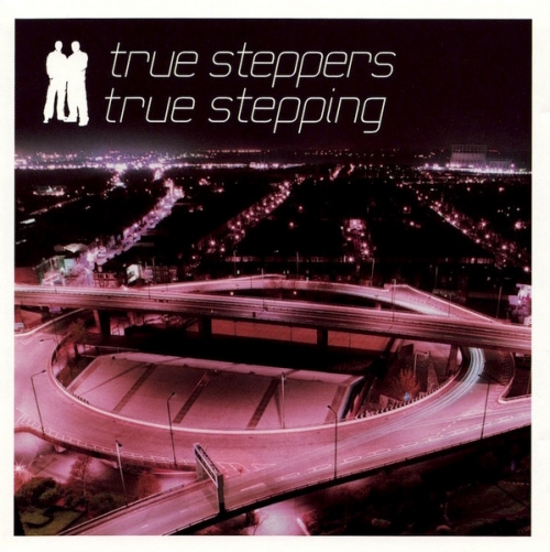 True Steppers ‎- True Stepping