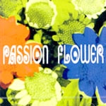 T Square - Passion Flower