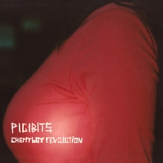 피기비츠 (Pigibit5) - Cherryboy Revolution