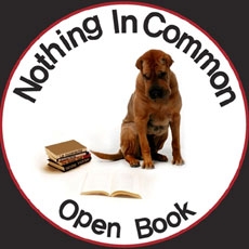 Nothing In Common - Open Book