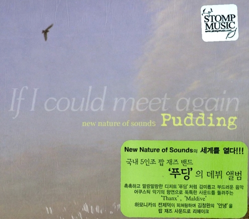 Pudding - If I Could Meet Again