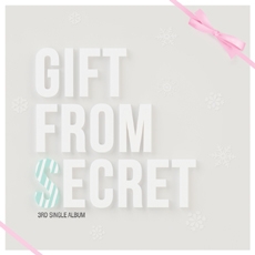 시크릿 (Secret) - 싱글 3집 Gift From Secret