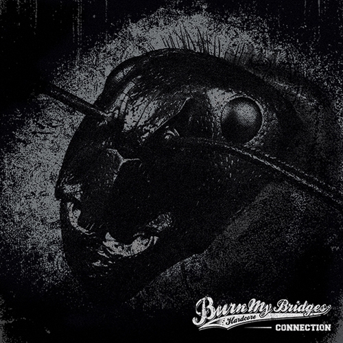 번 마이 브릿지스(Burn My Bridges) - EP 2집 Connection