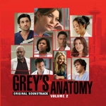 Grey's Anatomy vol.2 (그레이 아나토미 : 시즌2) OST