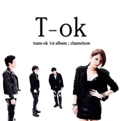 티오케이 (T-ok) - chameleon