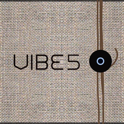 바이브 (Vibe) - 정규 5집 Organic Sound