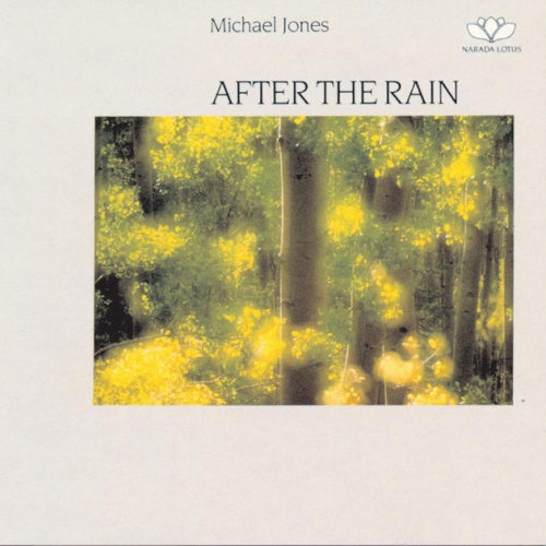 Michael Jones - After The Rain [뉴에이지] (케이스 손상)